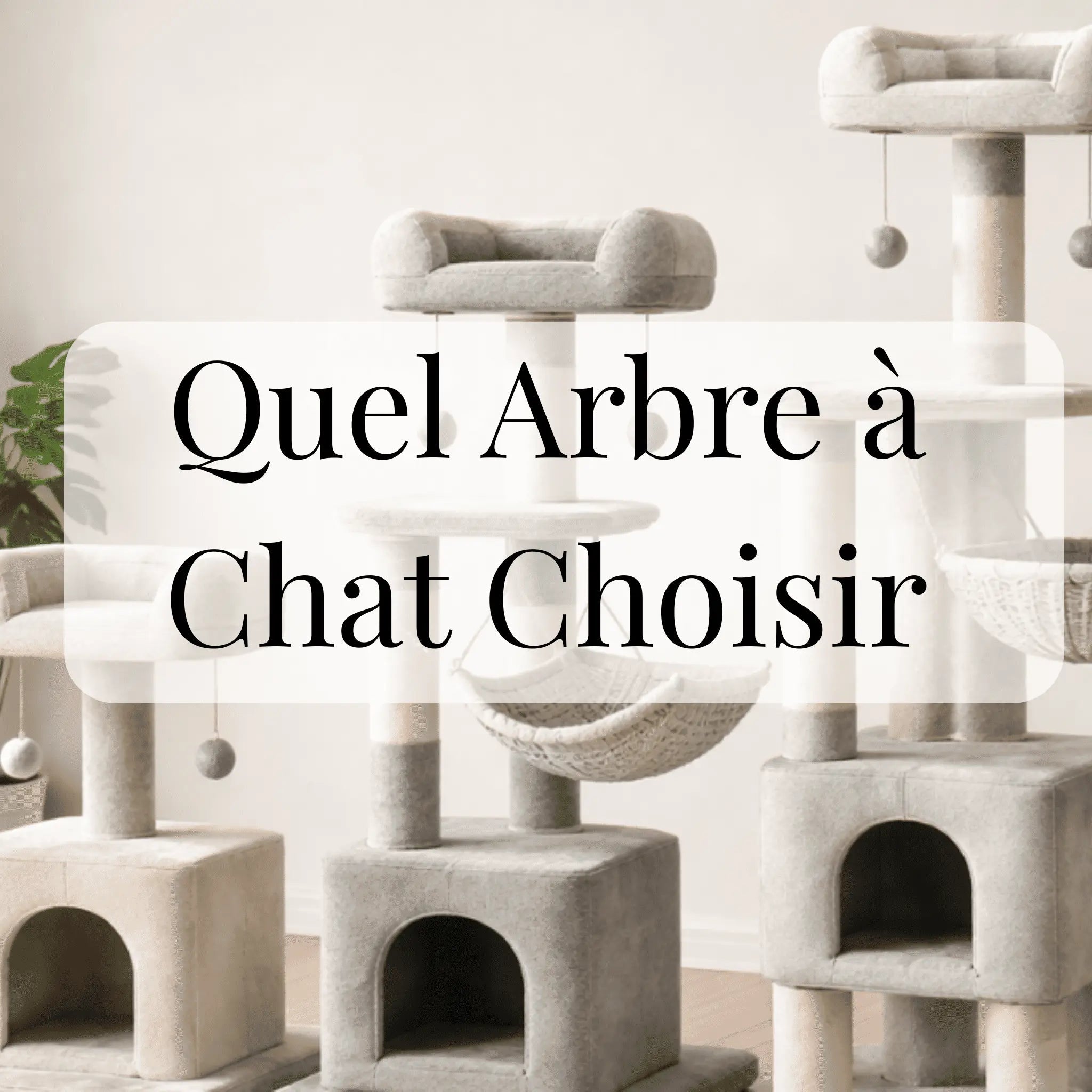 Quel Arbre à Chat Choisir - CATIUM