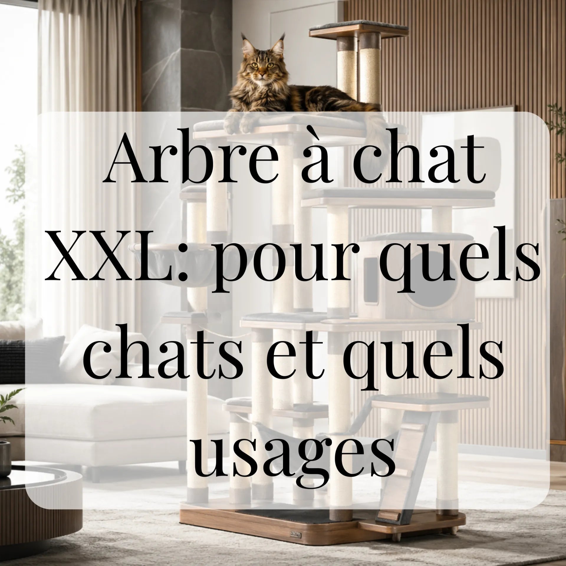 Arbre à chat XXL : pour quels chats et quels usages