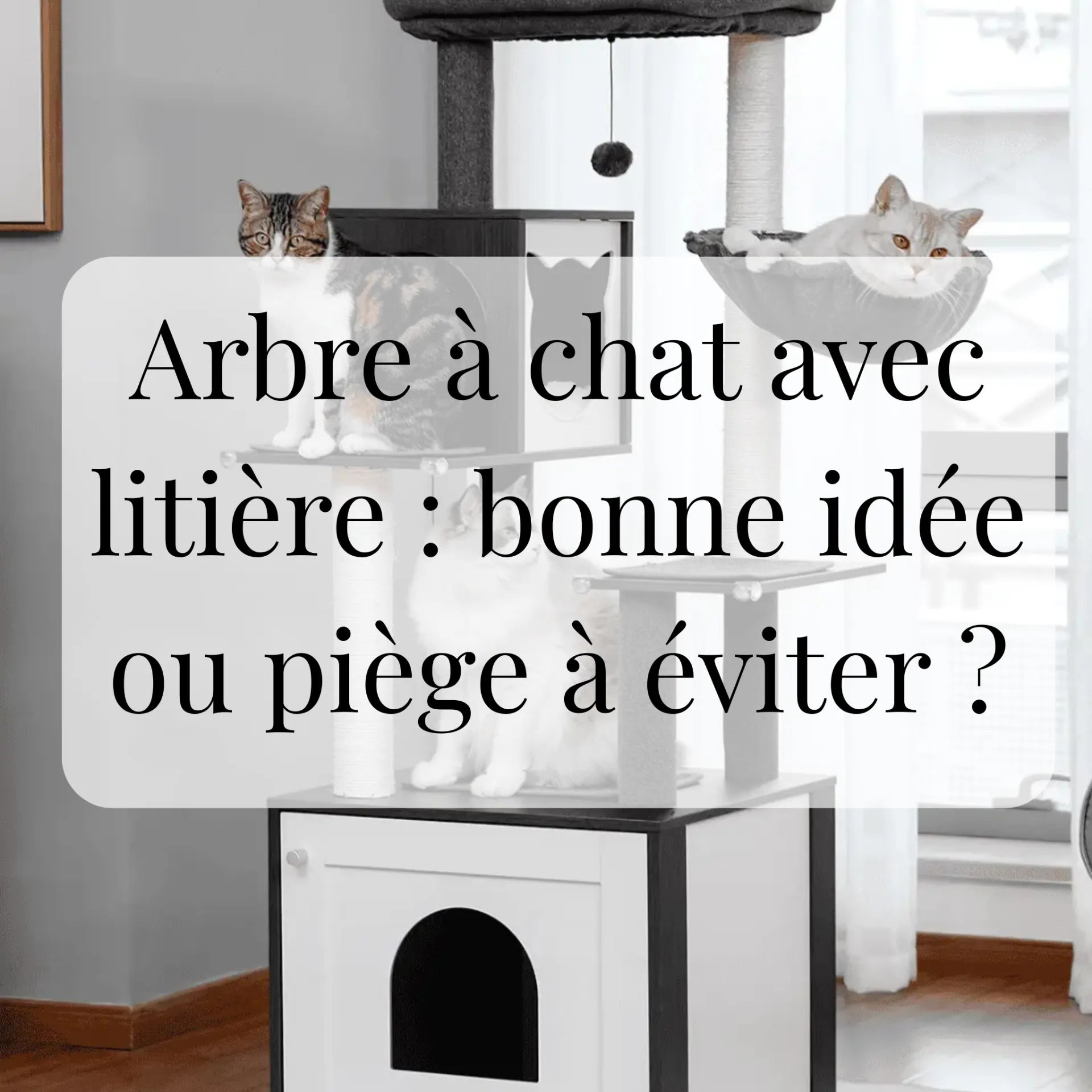 Arbre à chat avec litière : bonne idée ou piège à éviter ?