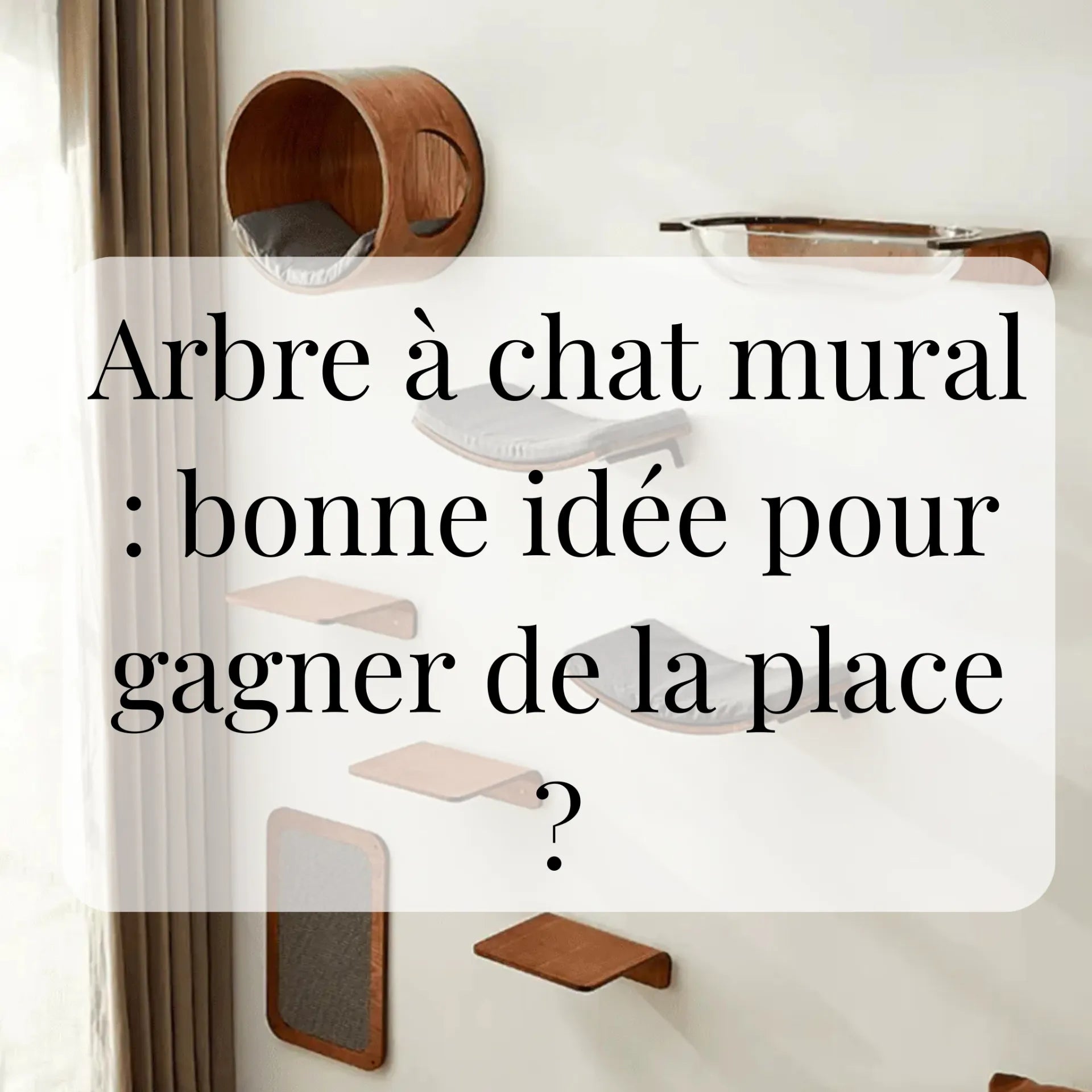 Arbre à chat mural : bonne idée pour gagner de la place ?