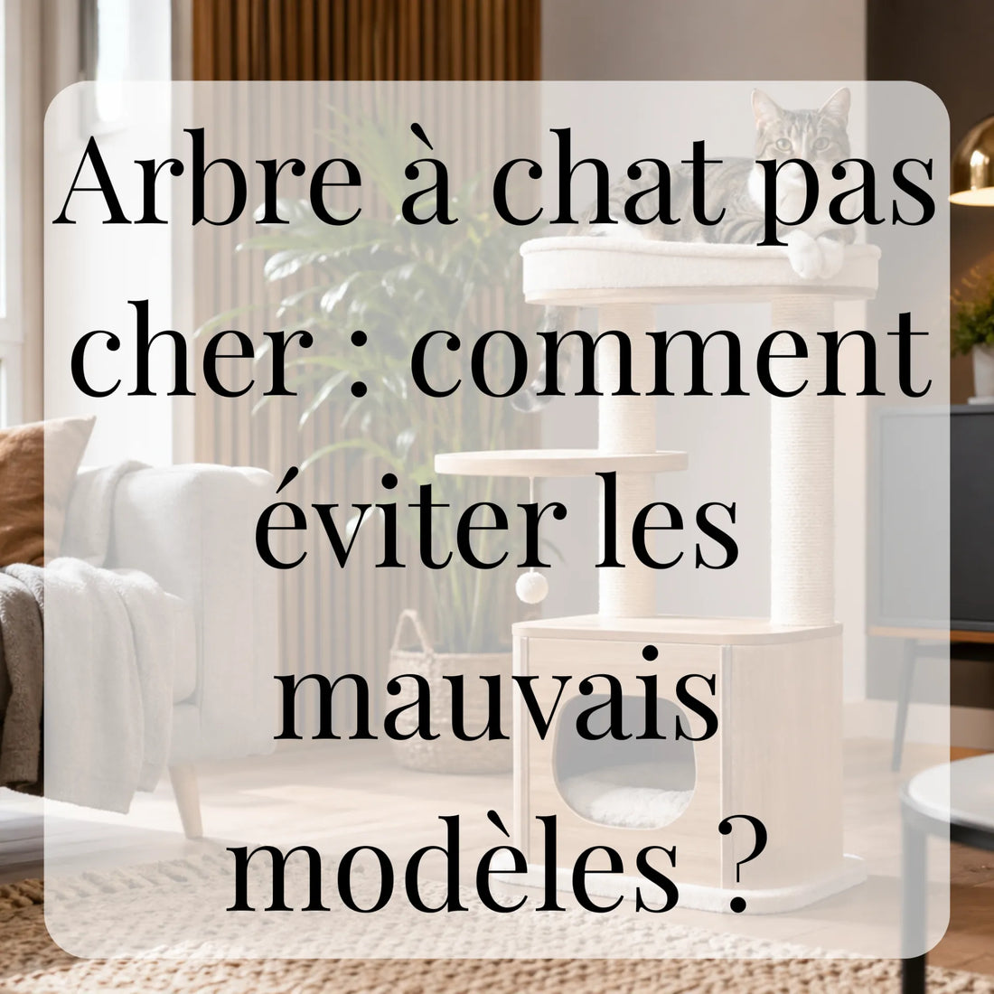 Arbre à chat pas cher : comment éviter les mauvais modèles ?
