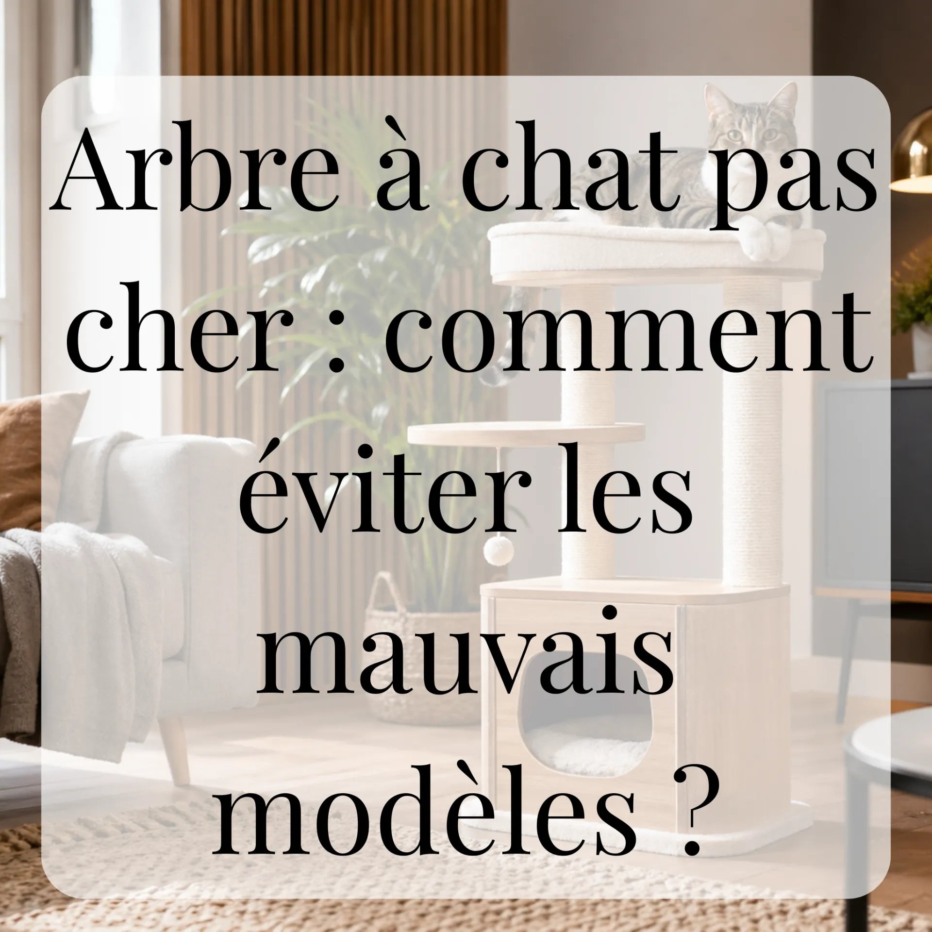 Arbre à chat pas cher : comment éviter les mauvais modèles ?
