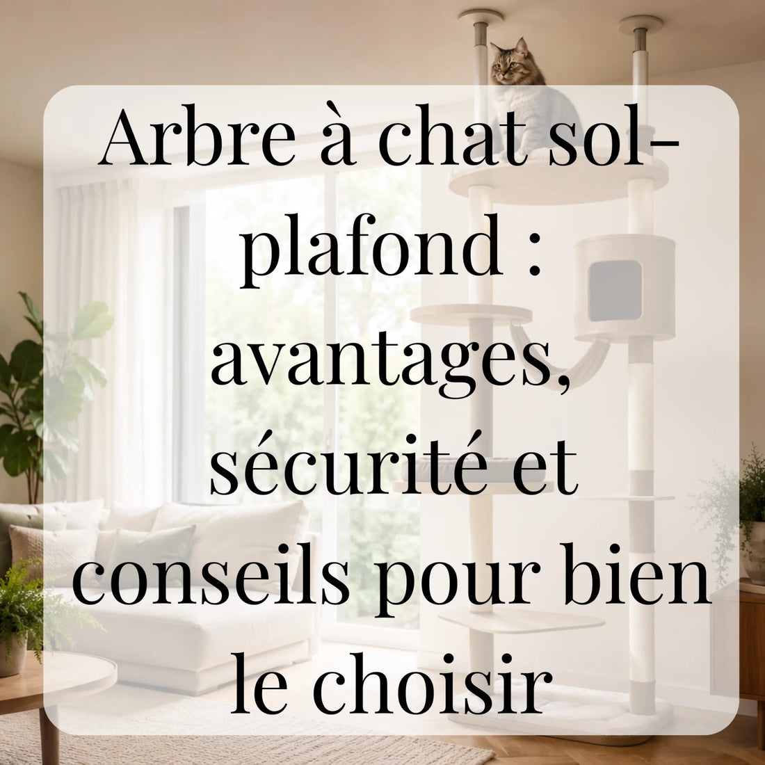 Arbre à chat sol-plafond : avantages, sécurité et conseils pour bien le choisir