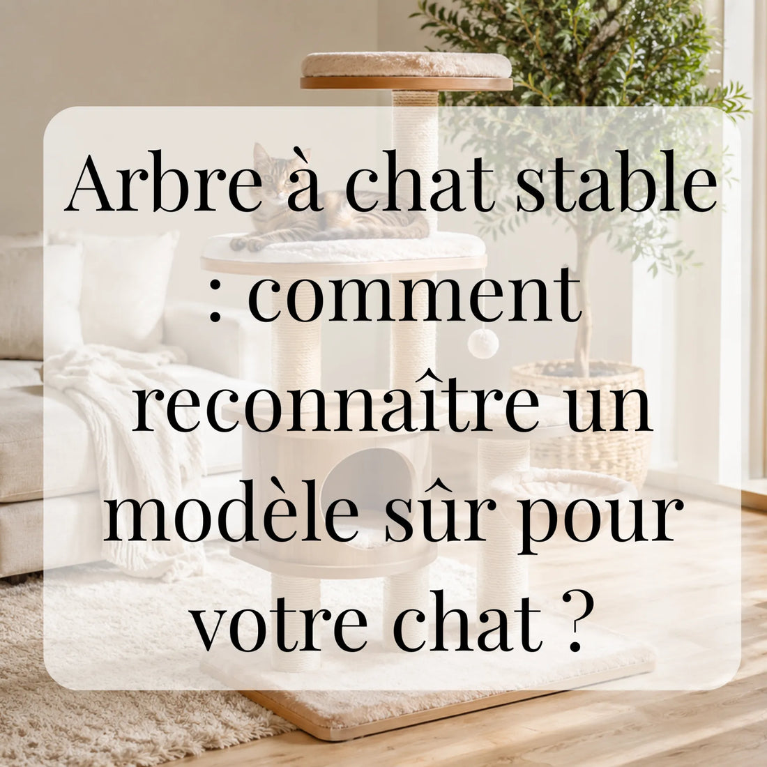Arbre à chat stable : comment reconnaître un modèle sûr pour votre chat ?