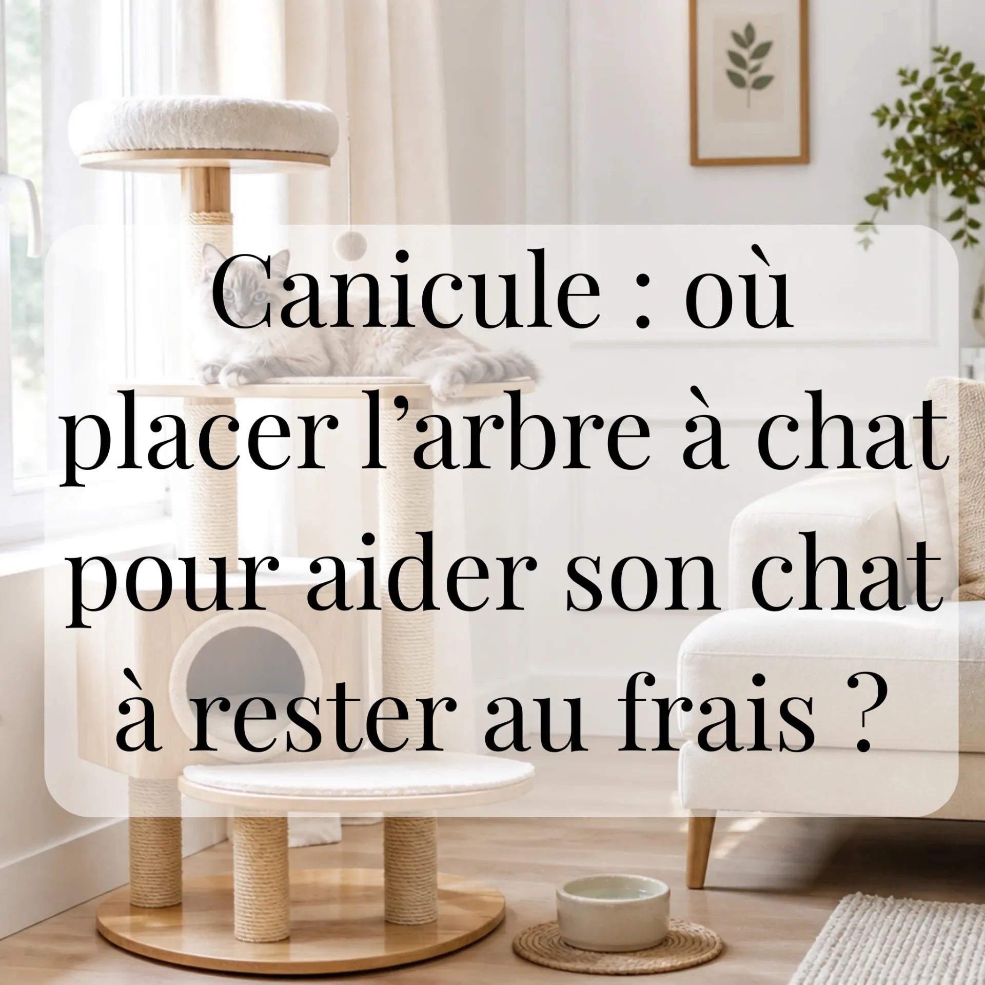 Canicule : où placer l’arbre à chat pour aider son chat à rester au frais ? CATIUM