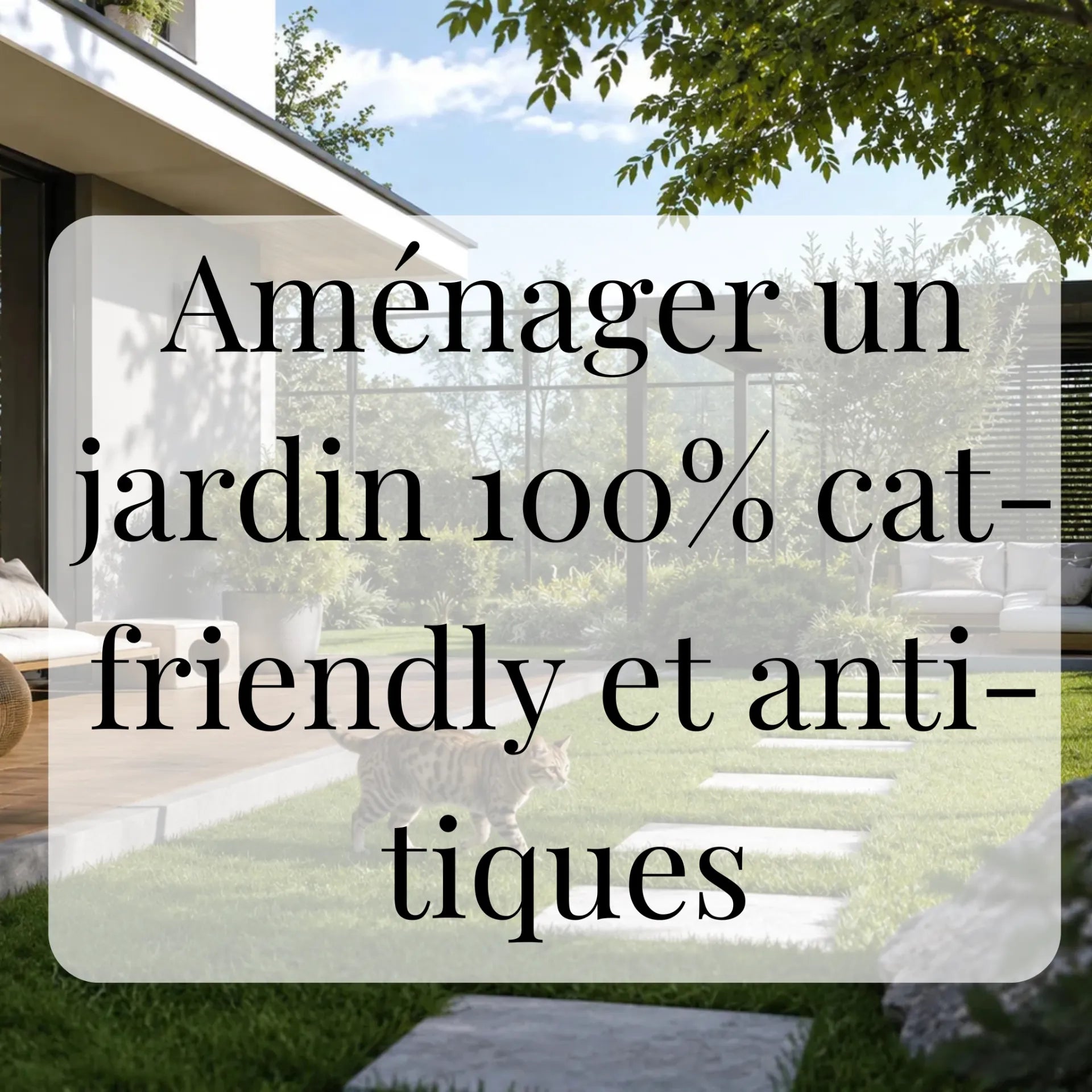 Comment aménager un jardin 100% cat-friendly et anti-tiques