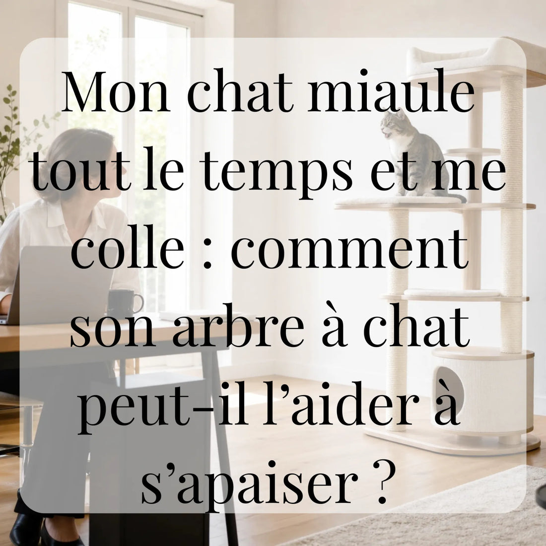 Mon chat miaule tout le temps et me colle : comment son arbre à chat peut-il l’aider à s’apaiser ? CATIUM