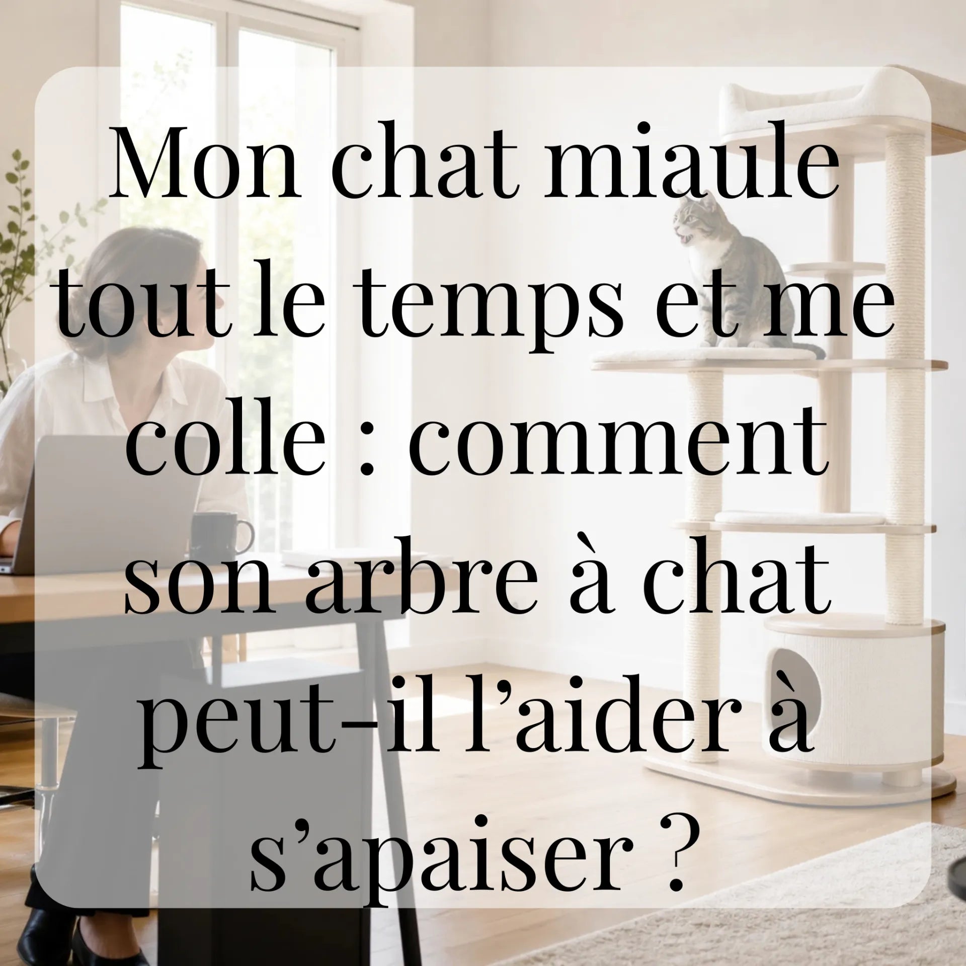 Mon chat miaule tout le temps et me colle : comment son arbre à chat peut-il l’aider à s’apaiser ? CATIUM