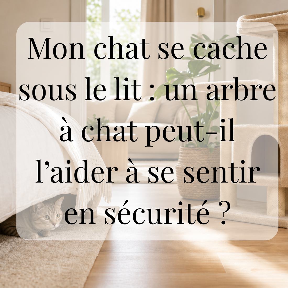 Mon chat se cache sous le lit : un arbre à chat peut-il l’aider à se sentir en sécurité ?