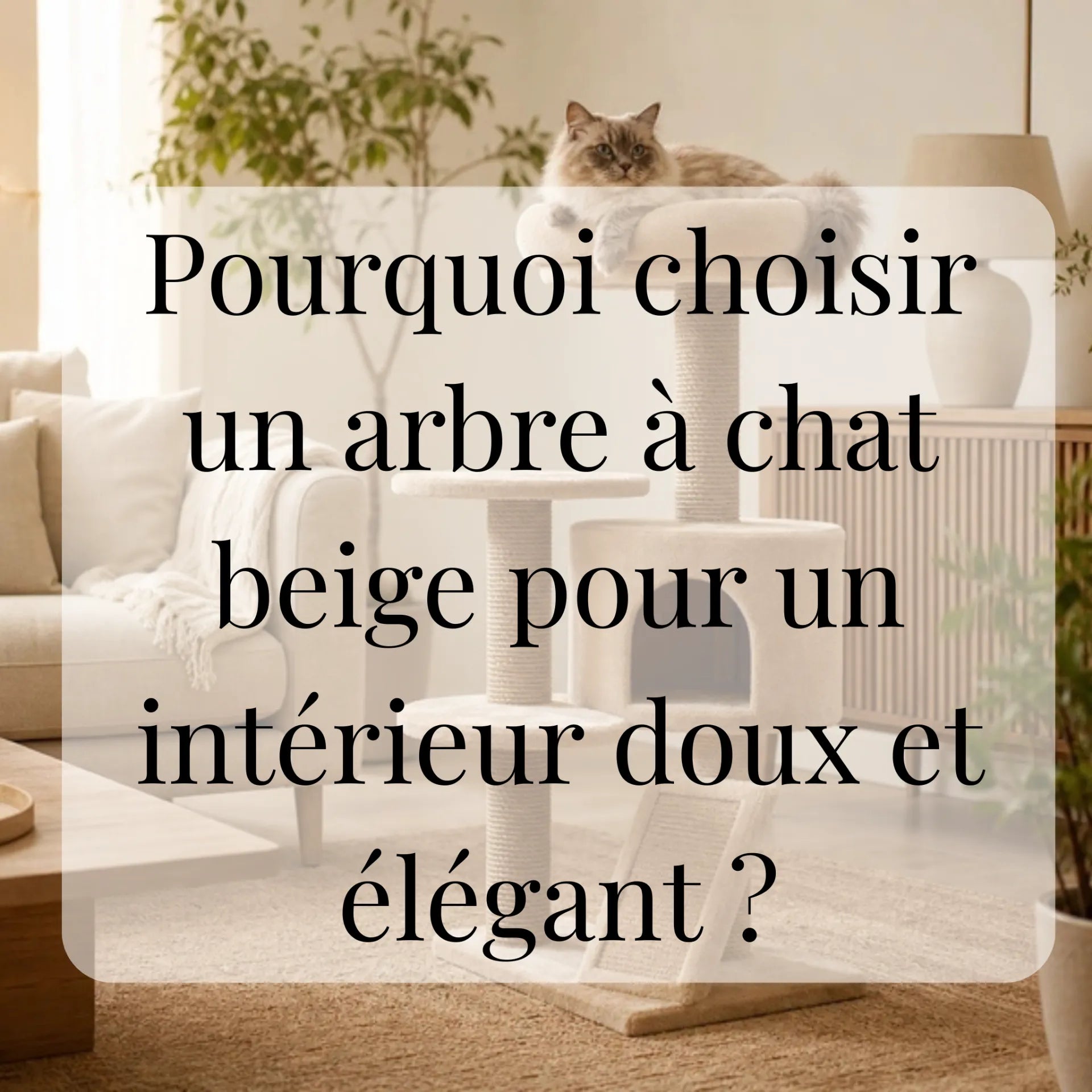 Pourquoi choisir un arbre à chat beige pour un intérieur doux et élégant ? CATIUM