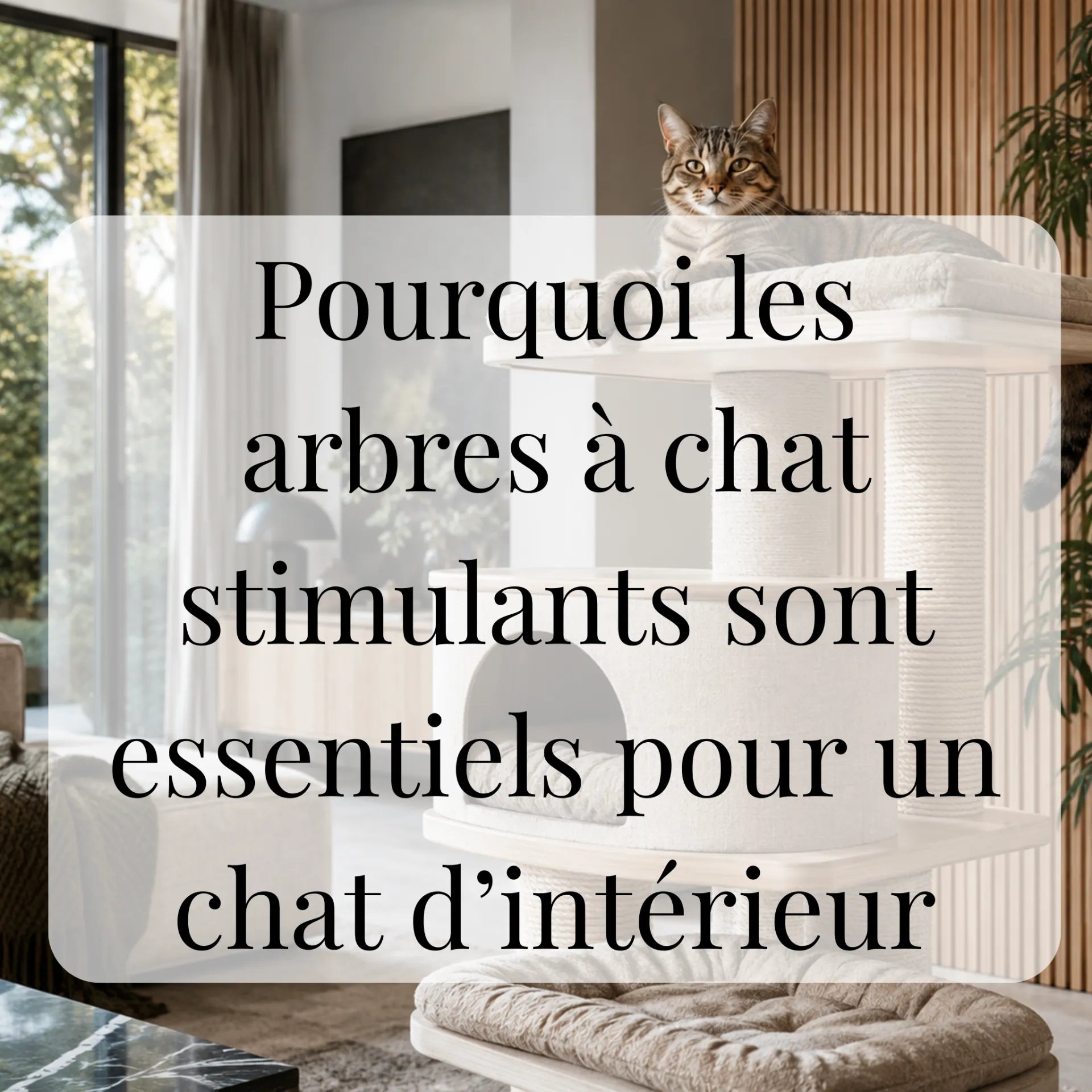 Pourquoi les arbres à chat stimulants sont essentiels pour un chat d’intérieur
