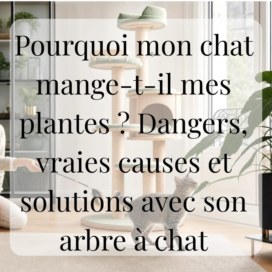 Pourquoi mon chat mange-t-il mes plantes ? Dangers, vraies causes et solutions avec son arbre à chat CATIUM
