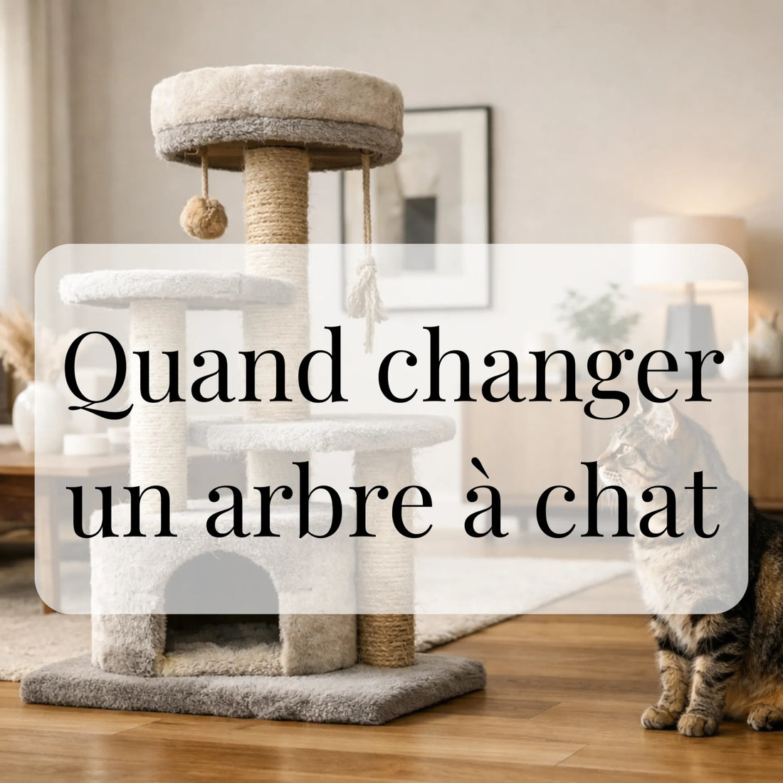 Quand changer un arbre à chat