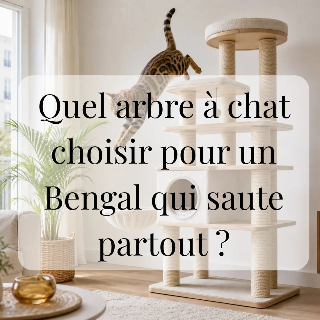 Quel arbre à chat choisir pour un Bengal qui saute partout ?