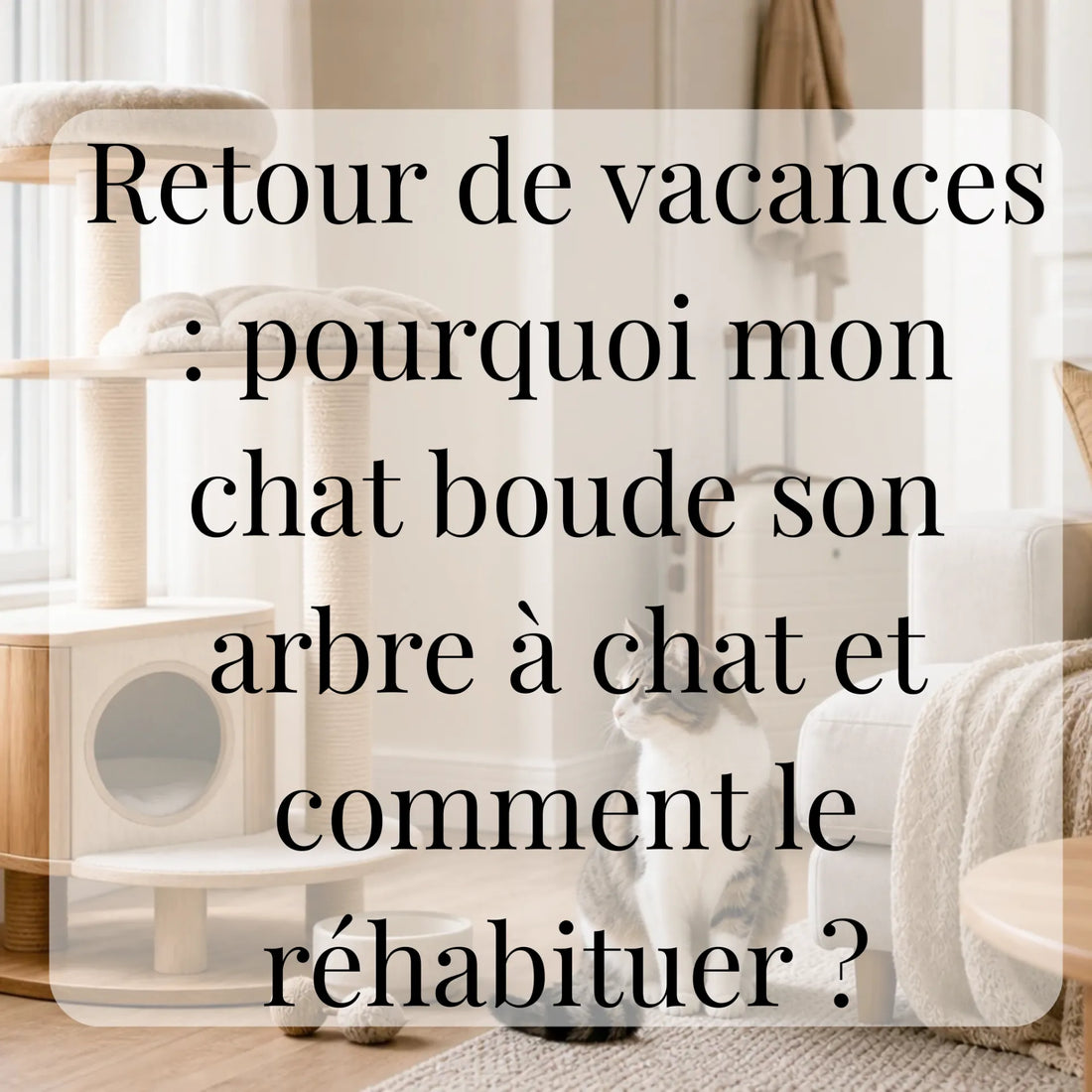 Retour de vacances : pourquoi mon chat boude son arbre à chat et comment le réhabituer ? CATIUM