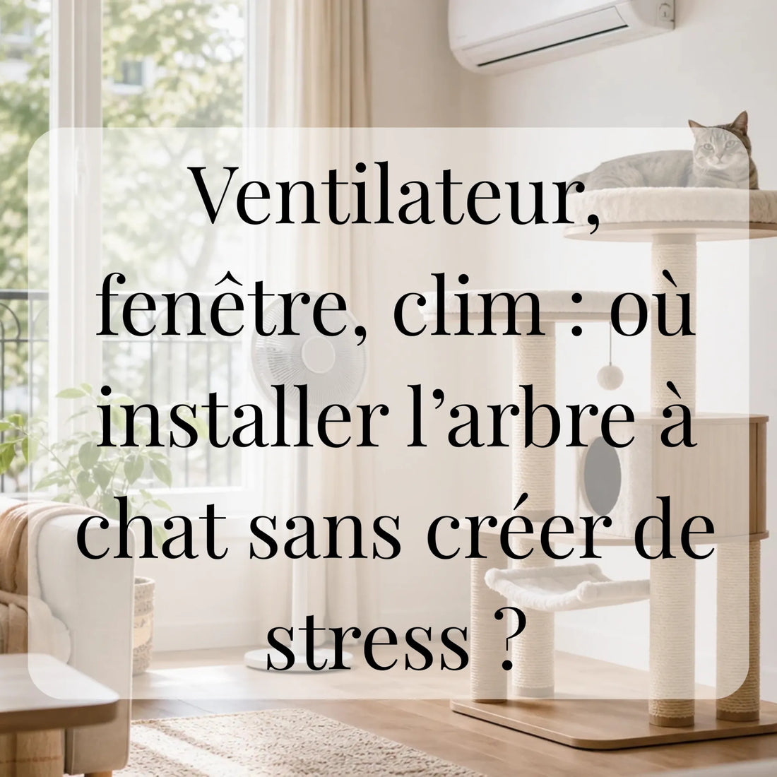Ventilateur, fenêtre, clim : où installer l’arbre à chat sans créer de stress ? CATIUM