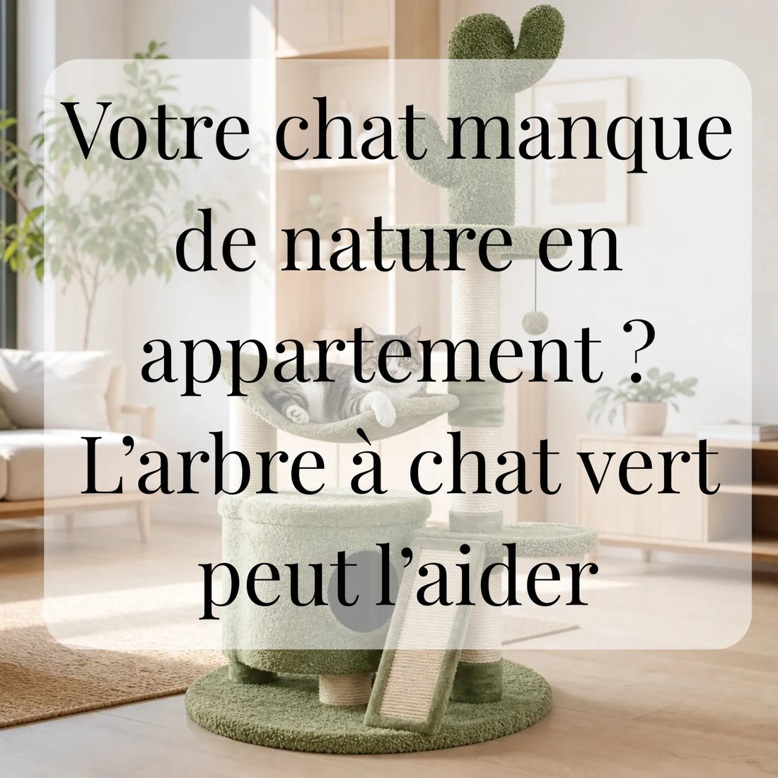 Votre chat manque de nature en appartement ? L’arbre à chat vert peut l’aider