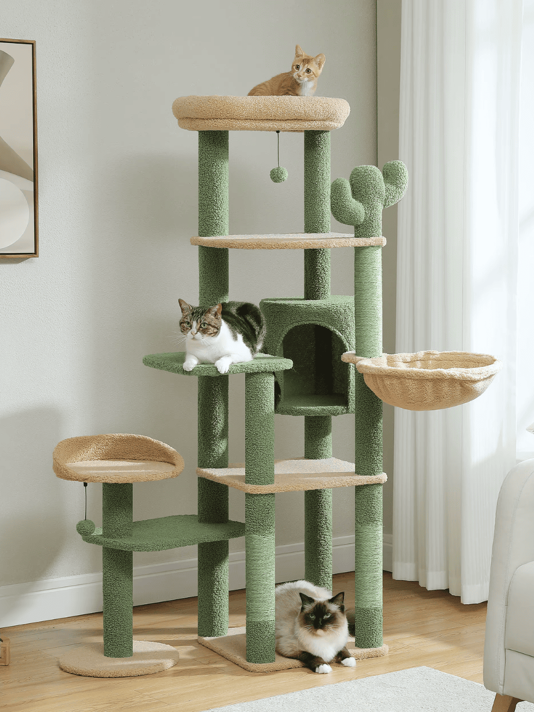 Arbre à Chat Cactus