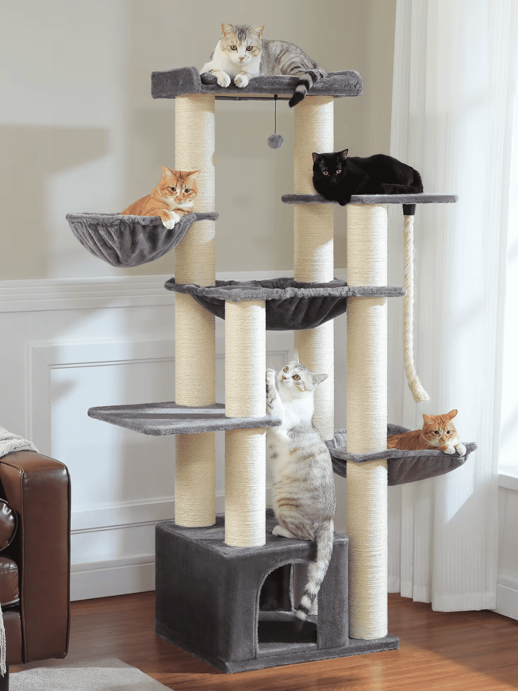 Arbre à Chat pour Maine Coon