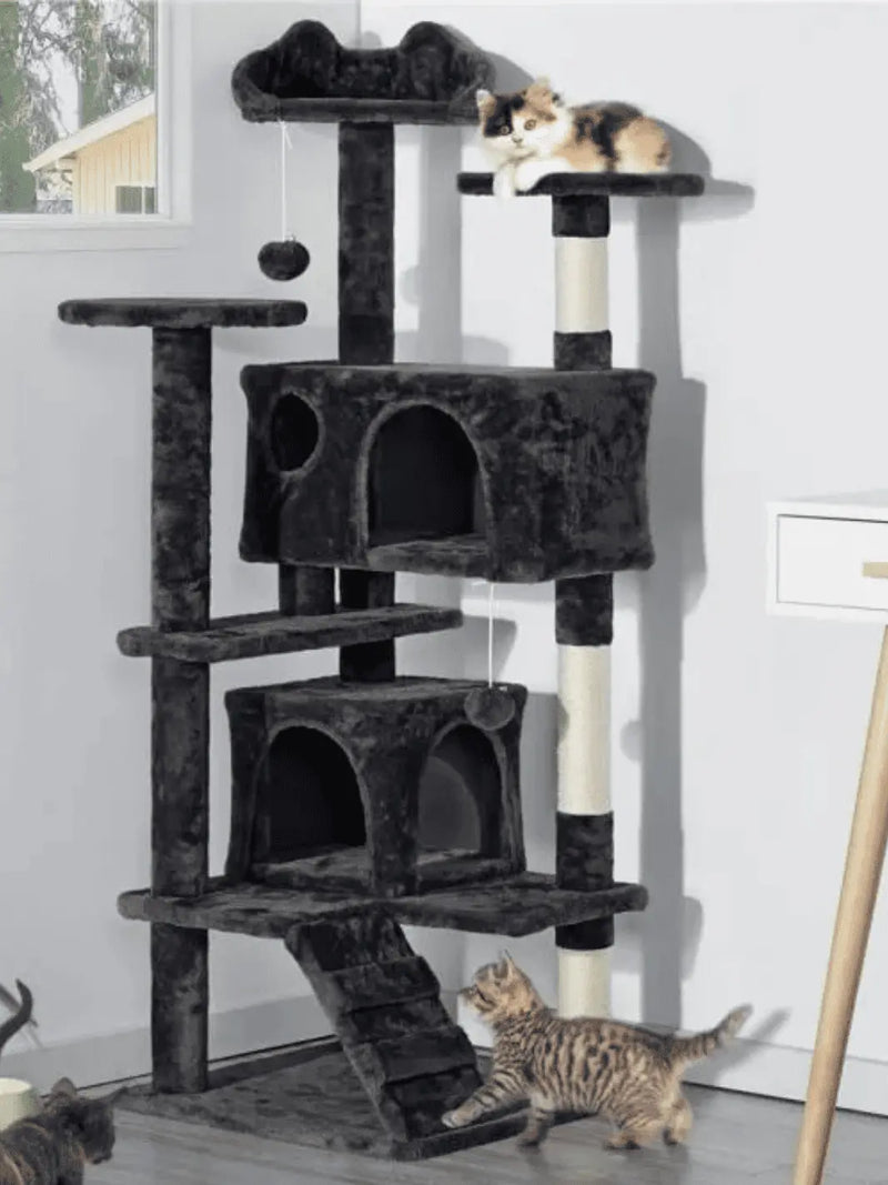 Arbre a Chat Noir - CATIUM
