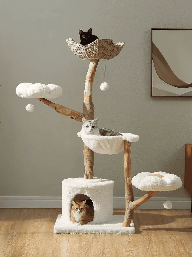 Arbre à Chat  en Bois Flotté - CATIUM