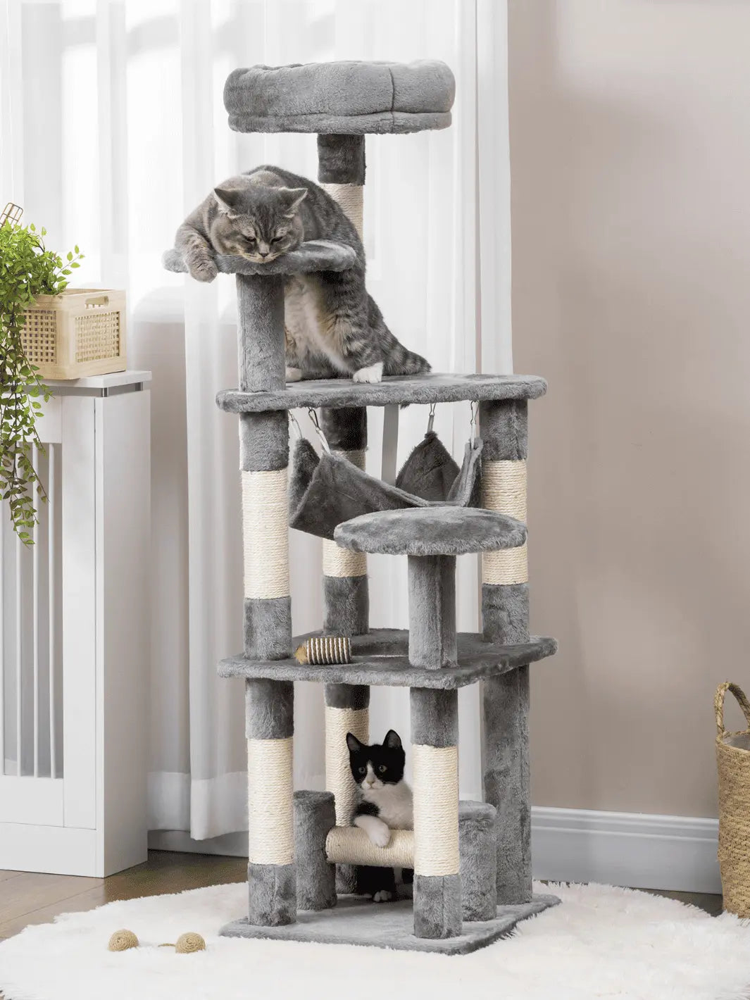 Arbre à Chat Gris - CATIUM