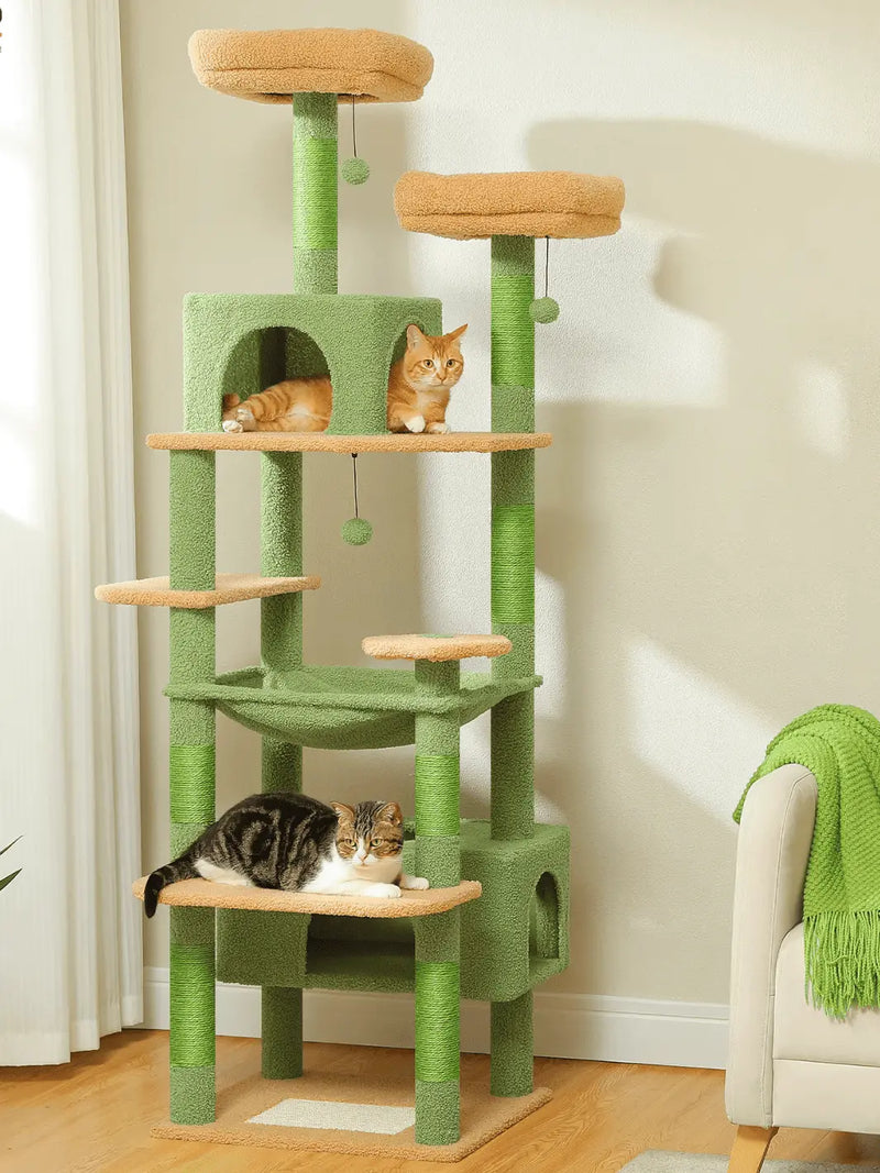 Arbre à Chat Vert - CATIUM
