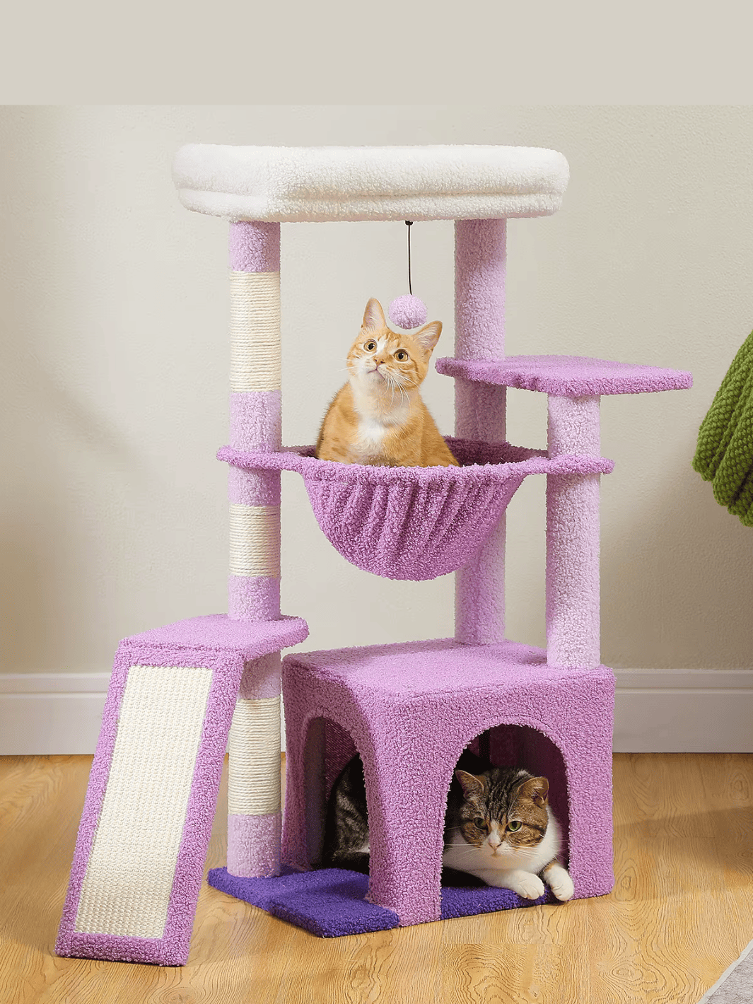 Arbre à Chat Violet