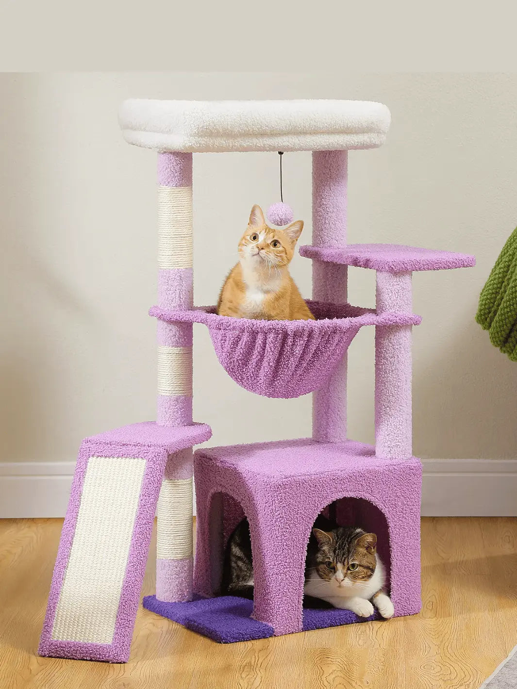 Arbre à Chat Violet - CATIUM