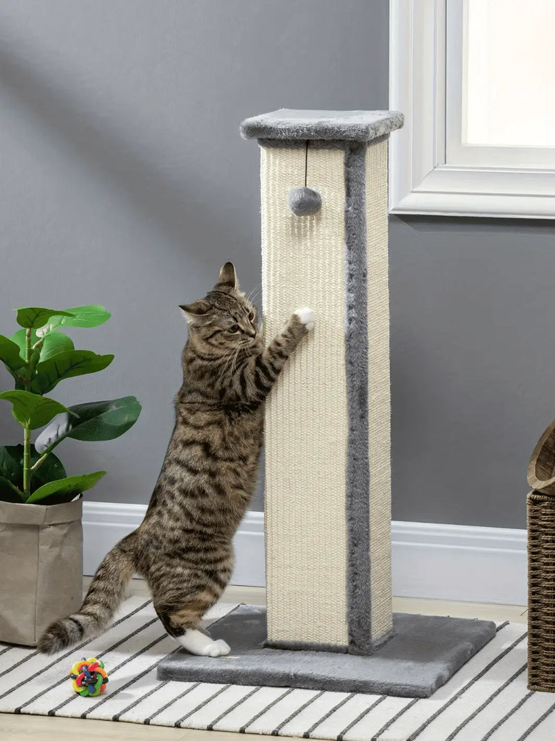 Griffoir à Chat - CATIUM