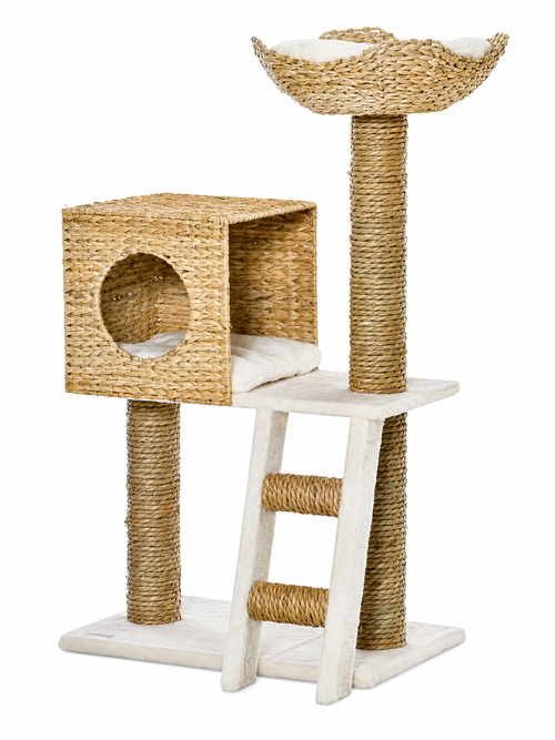 Arbre à Chat Design avec Coussin et Échelle - Rotelia