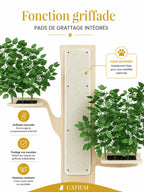 Arbre à Chat Mural Bois 3 Niveaux 155 × 210 cm-Pinéor- Caracteristique 1 