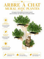 Arbre à Chat Mural Bois 3 Niveaux 155 × 210 cm-Pinéor- Caracteristique 3