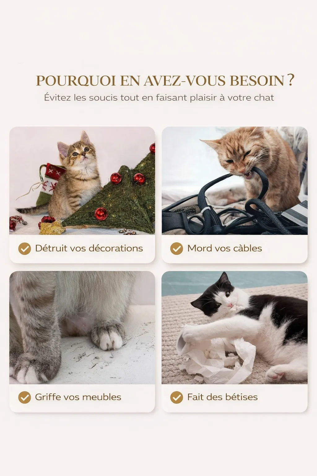 Arbre à Chat murale pour chat 4 pièces avec panier  - Tavora - Caracteristique 2