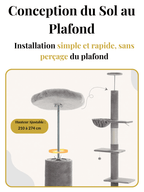 Arbre_a_Chat_210-274_cm_Ajustable_avec_Condo_et_Griffoirs_Caracteristique_1