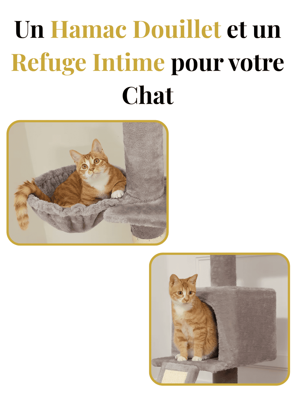 Arbre_a_Chat_210-274_cm_Ajustable_avec_Condo_et_Griffoirs_Caracteristique_3  | Catium