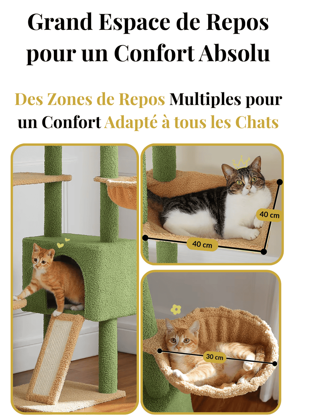 Arbre_a_Chat_230_255_cm_Style_Cactus_avec_Condo_et_Hamac_Caracteristique_2 | Catium