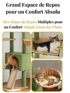 Arbre_a_Chat_230_255_cm_Style_Cactus_avec_Condo_et_Hamac_Caracteristique_2 - Catium