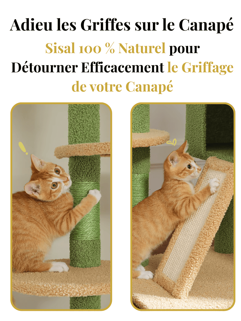 Arbre_a_Chat_230_255_cm_Style_Cactus_avec_Condo_et_Hamac_Caracteristique_3 | Catium