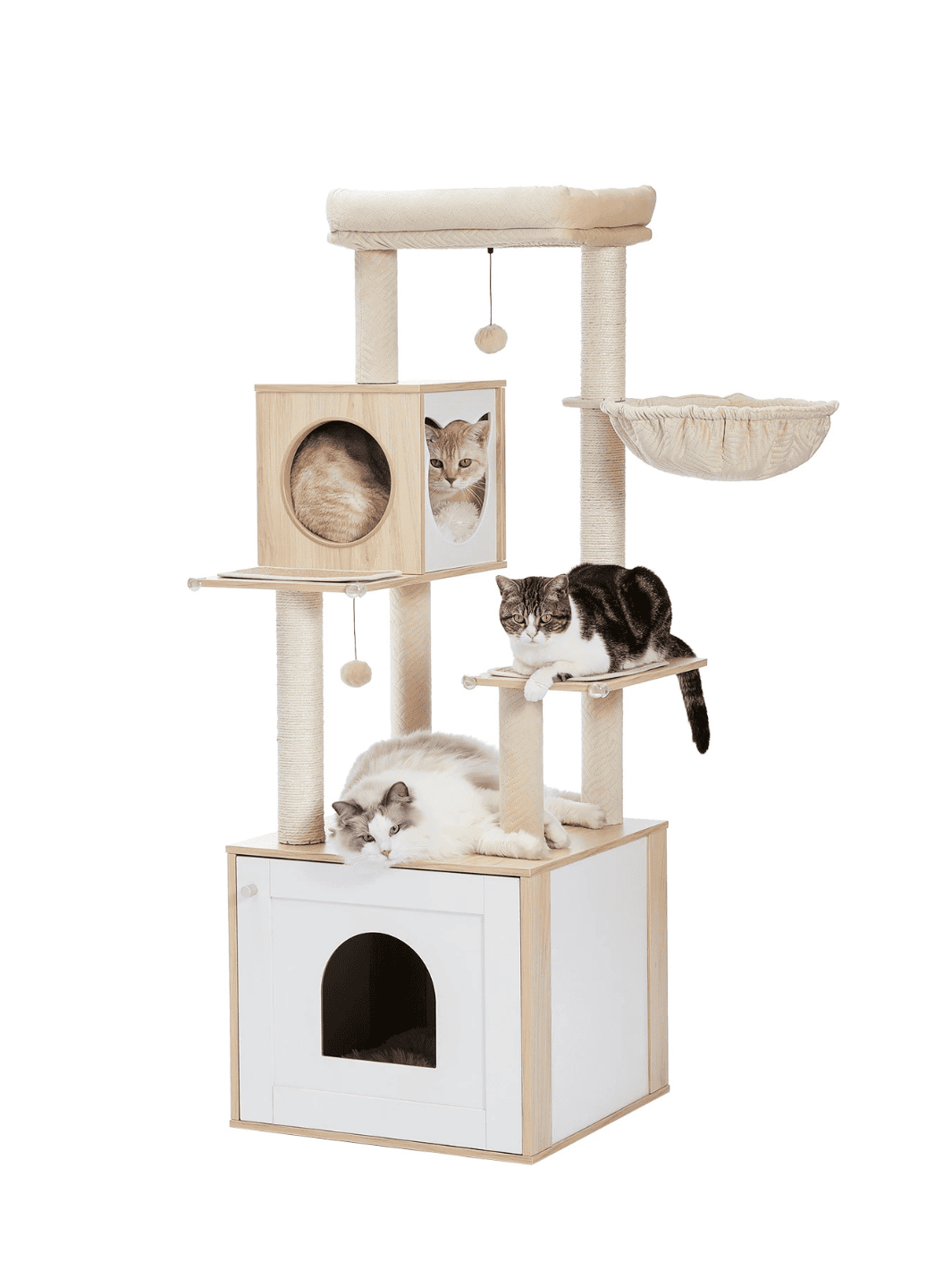 Arbre_a_Chat_Bois_Massif