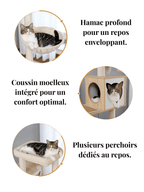 Arbre_a_Chat_Bois_Massif_Caracteristique_1