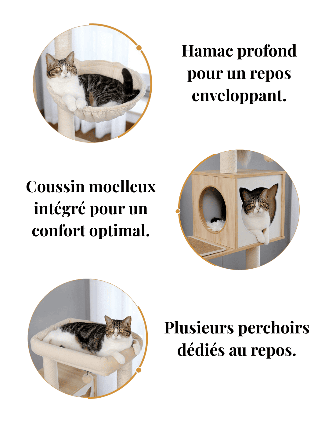 Arbre_a_Chat_Bois_Massif_Caracteristique_1