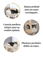 Arbre_a_Chat_Bois_Massif_Caracteristique_1