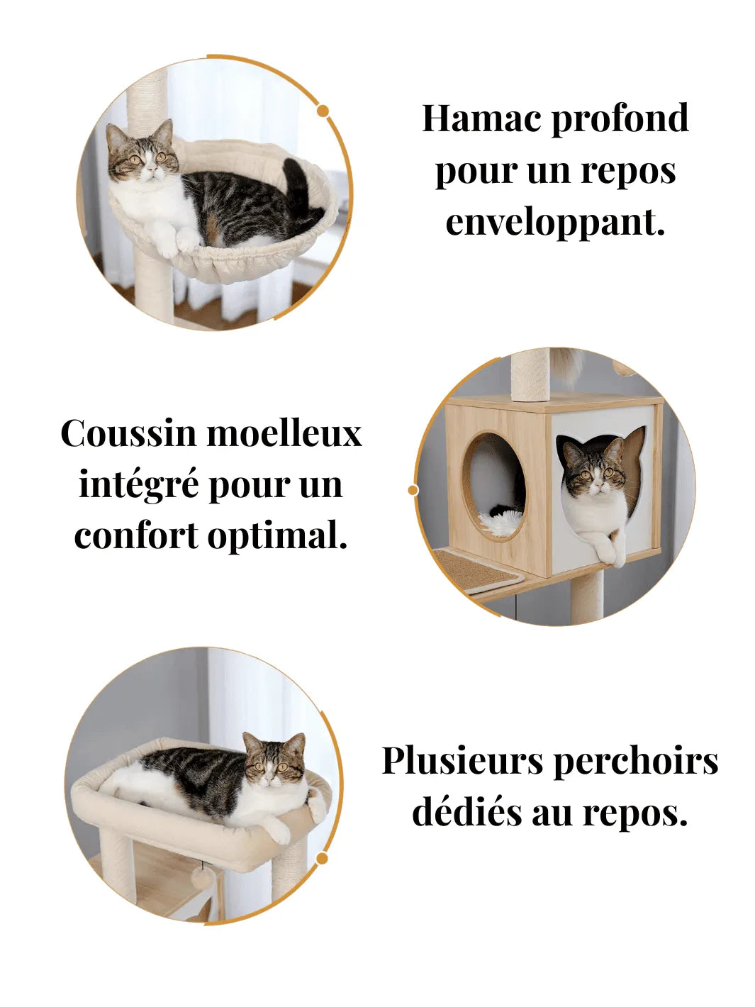 Arbre_a_Chat_Bois_Massif_Caracteristique_1