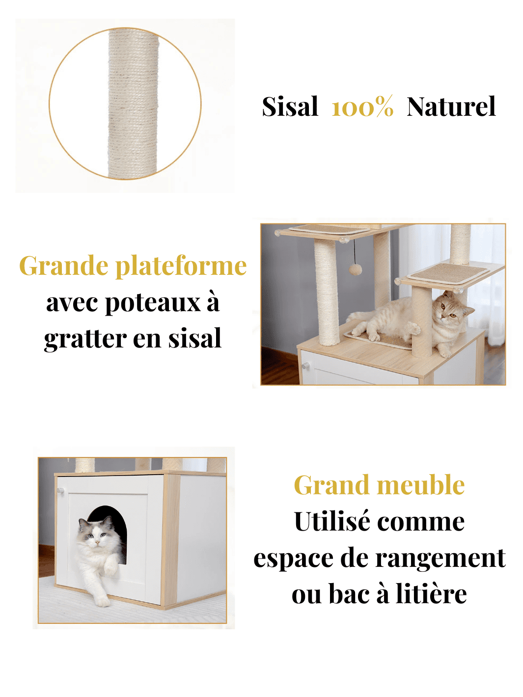 Arbre_a_Chat_Bois_Massif_Caracteristique_2