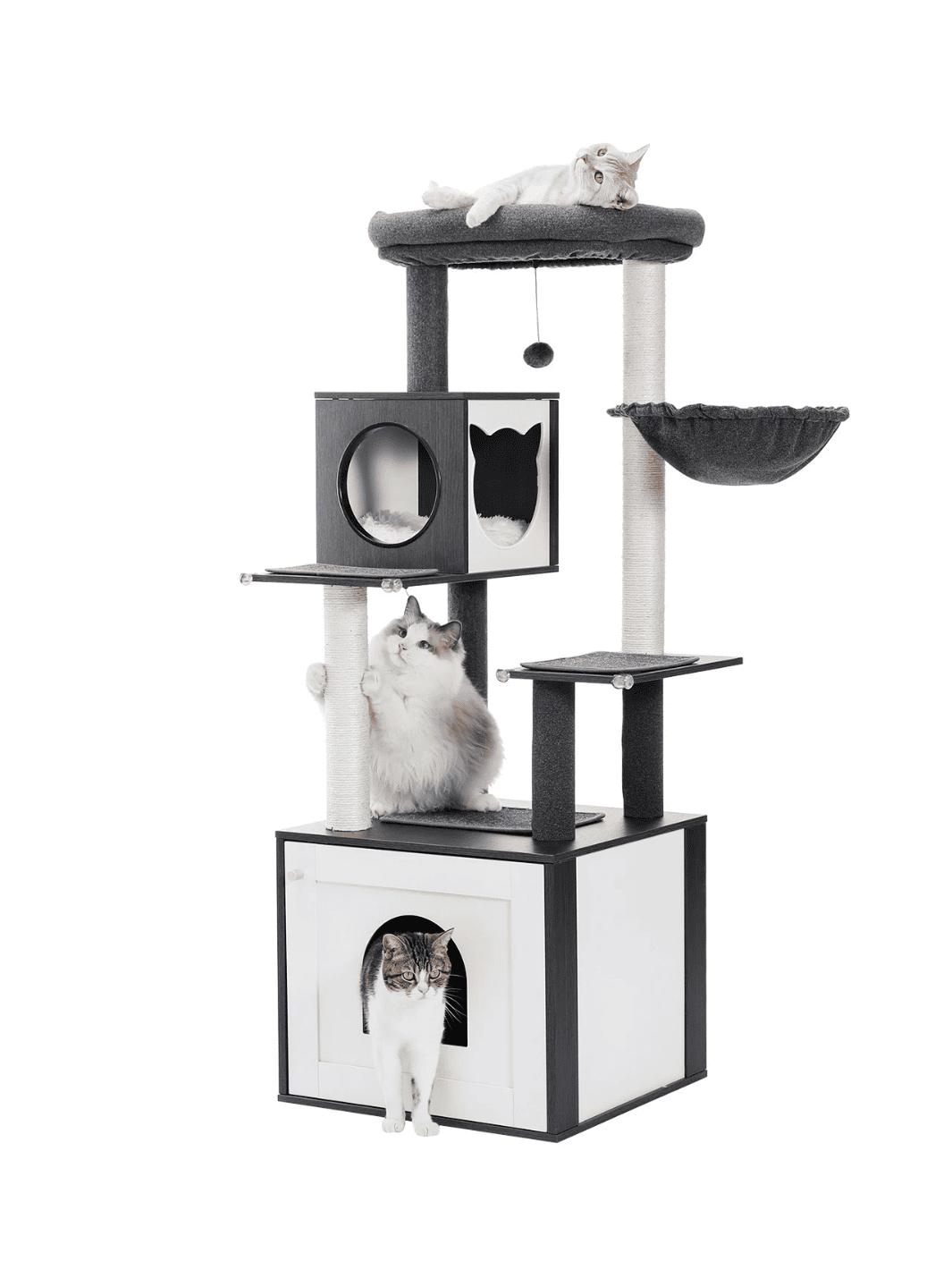 Arbre_a_Chat_Bois_Massif_Noir