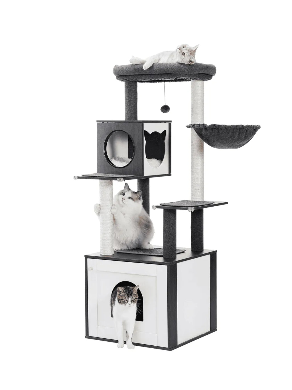 Arbre_a_Chat_Bois_Massif_Noir