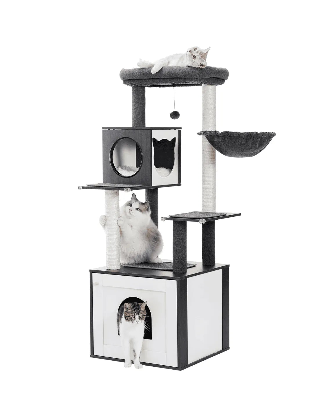Arbre_a_Chat_Bois_Massif_Noir