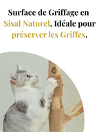 Arbre_a_Chat_Design_Bois_Caracteristique_1