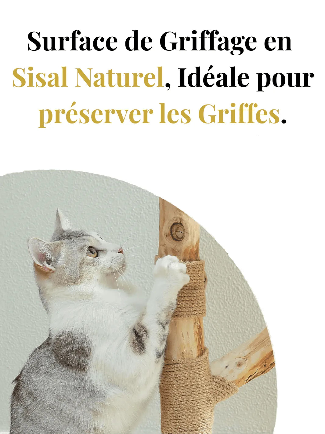 Arbre_a_Chat_Design_Bois_Caracteristique_1